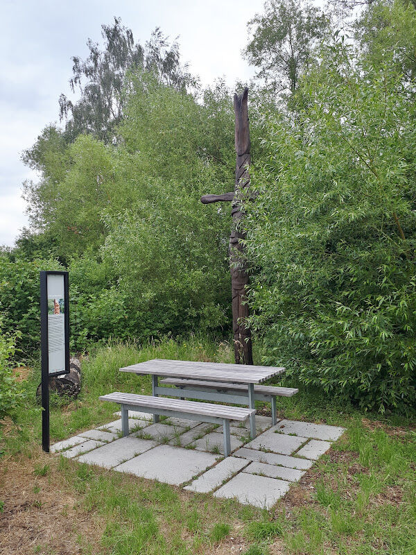 Foto van Kikvorstbos