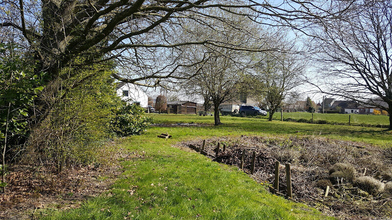 Foto van Tuinwerken VDB