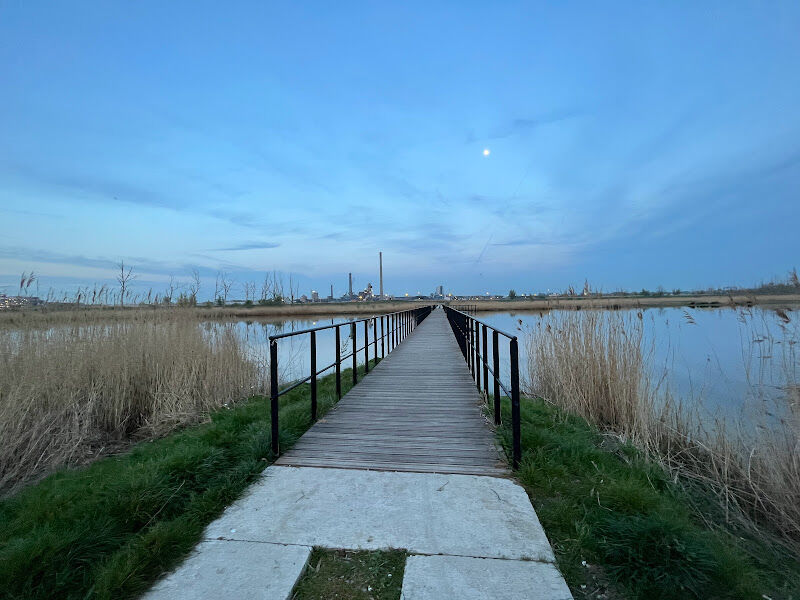 Foto van Polders van Kruibeke