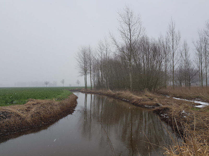 Foto van Kreekhof Tuinen BVBA