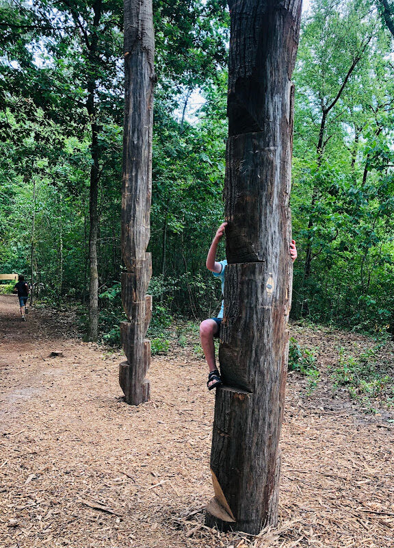 Foto van Klauterbos