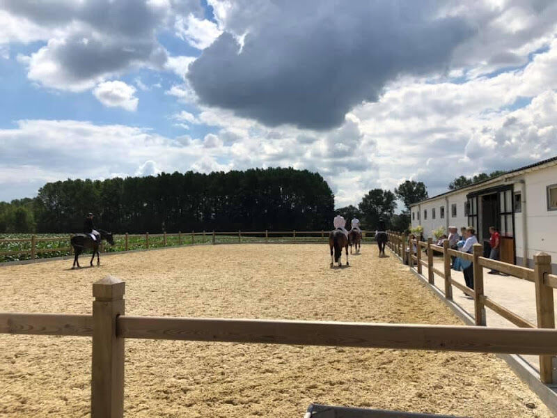 Foto van Stable 16