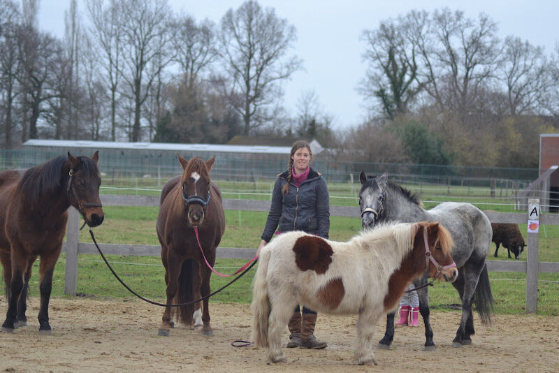 Foto van Hippotherapie PonyWijs