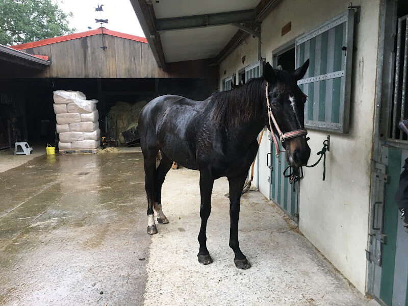 Foto van Manege stal Becue