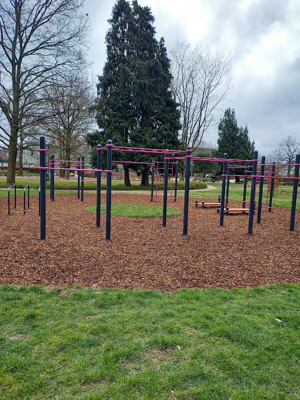 Foto van FORCE Calisthenics Park