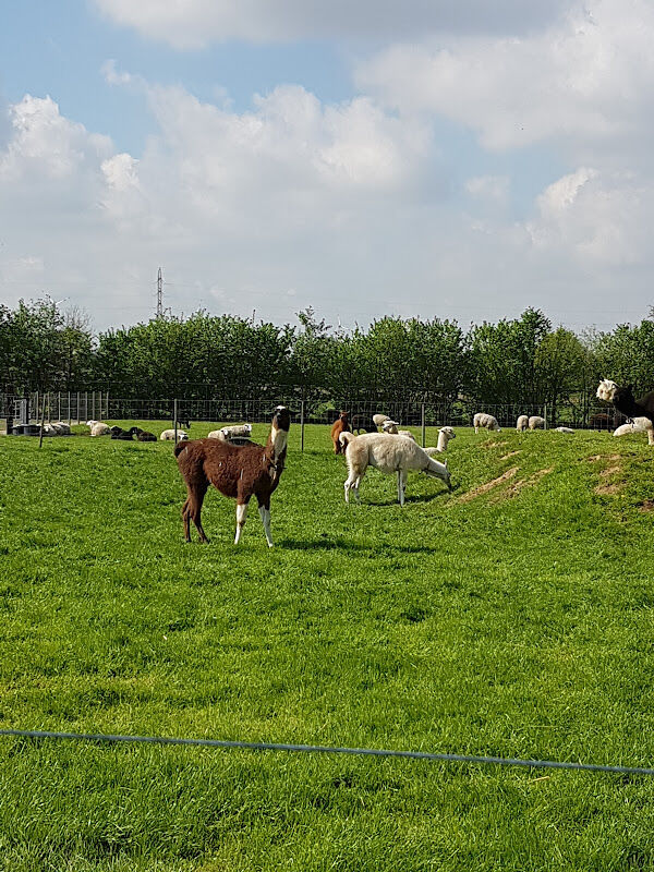 Foto van Medanex Clinic