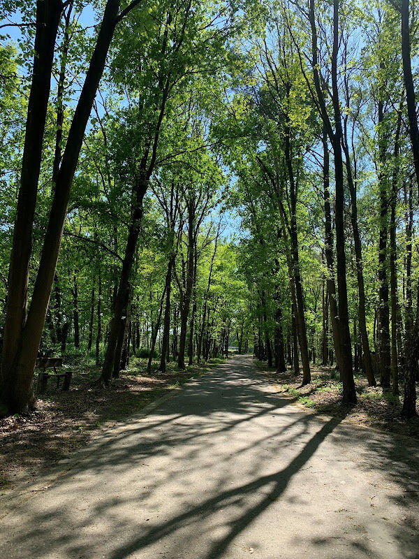 Foto van Recreatiepark De Krieckaert