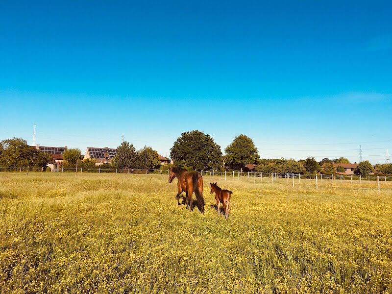 Foto van Bouwenbos Stables