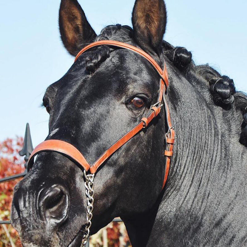 Foto van Hoeve Moerkantvelden