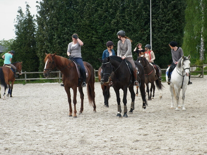 Foto van Eizer Class Stables