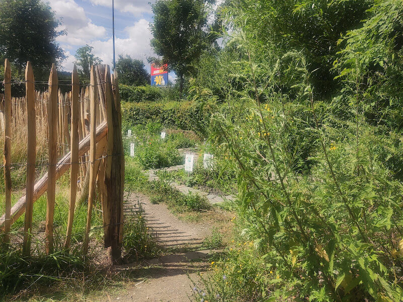 Foto van Het moeras Natuurgebied