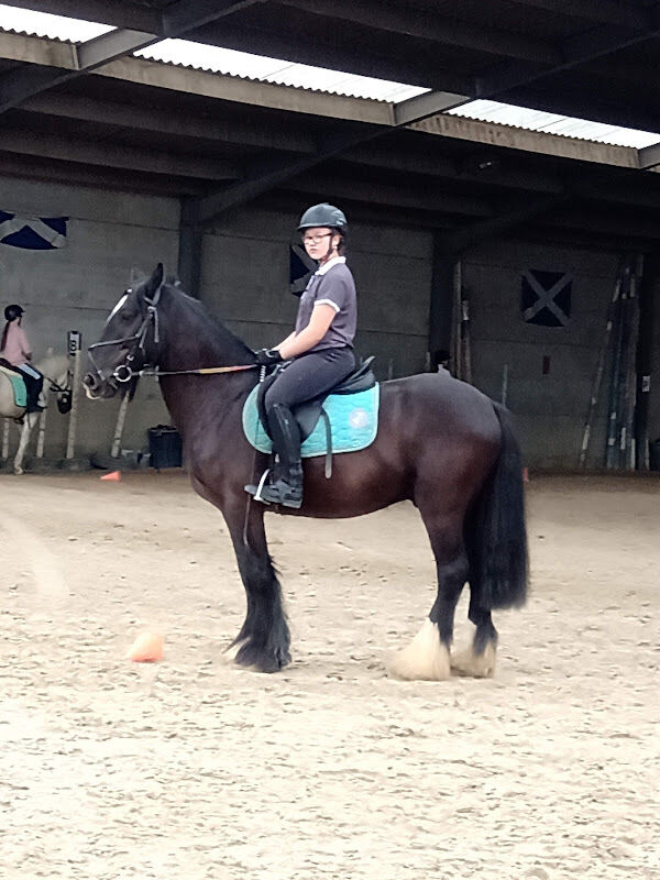 Foto van Cheval manege