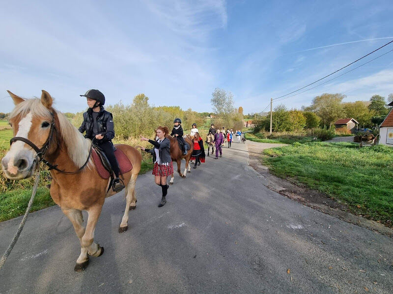 Foto van Paardenboerderij