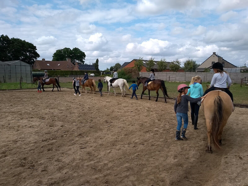 Foto van Ruitersclub Vrijgeweid Vzw