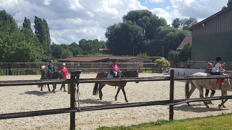 Foto van Pony Paradise ASBL-VZW