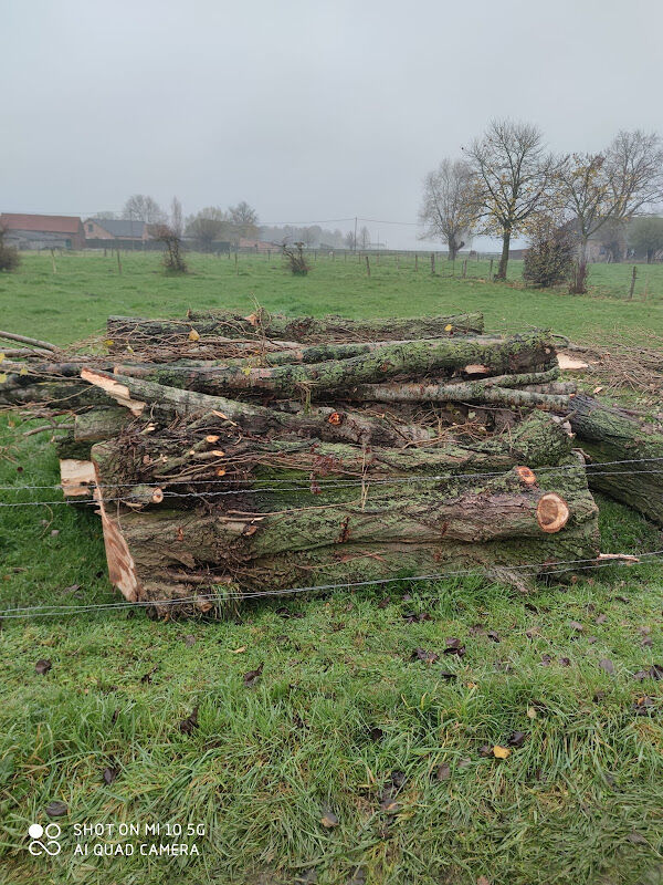 Foto van Hout Hakselen en Graafwerken Kerckhove