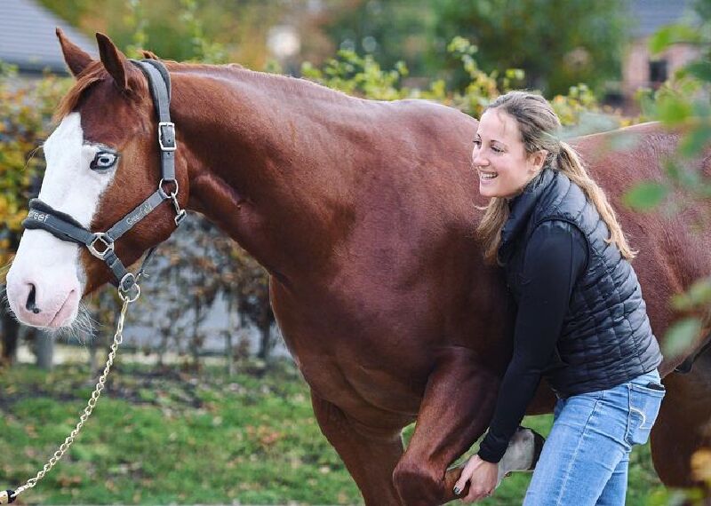 Foto van Dr India Hertoghe - Vétérinaire Equin