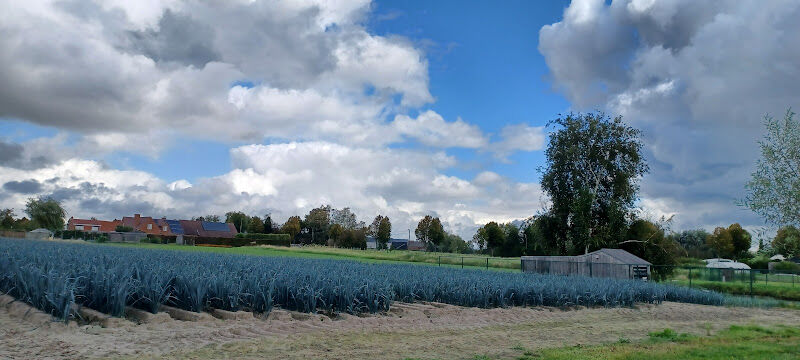 Foto van Depuydt Geert