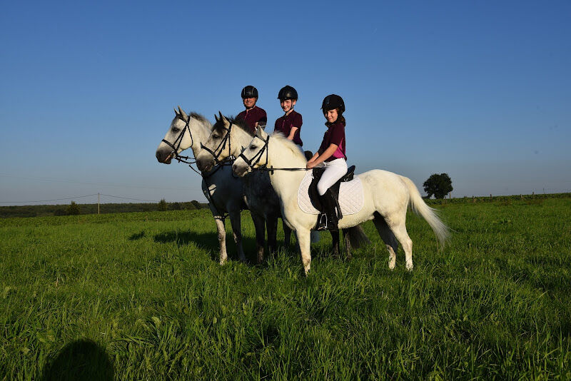 Foto van Paardrijschool Koningsbos