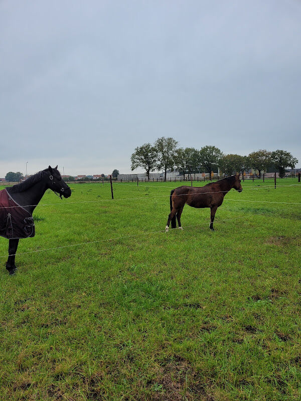 Foto van Boensberg stables