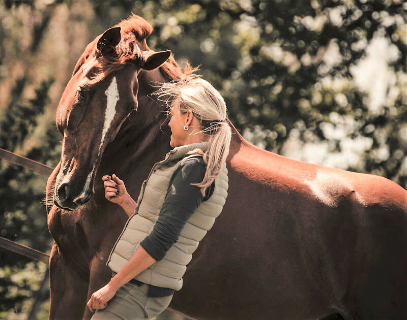 Foto van Paard & Coaching see.sense.systemic