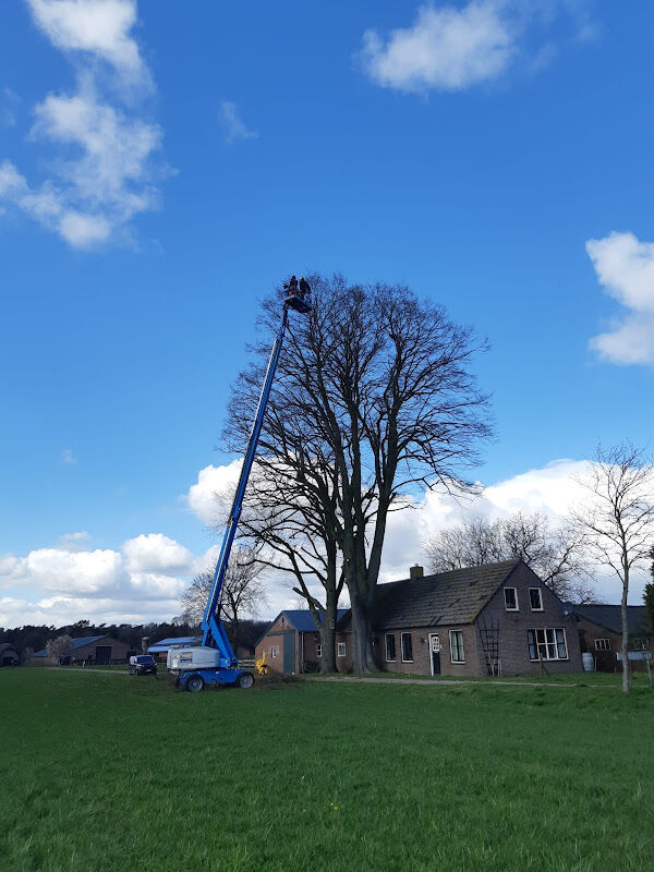 Foto van Lemans boom & tuin