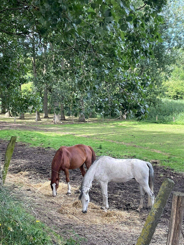 Foto van Epona Nv