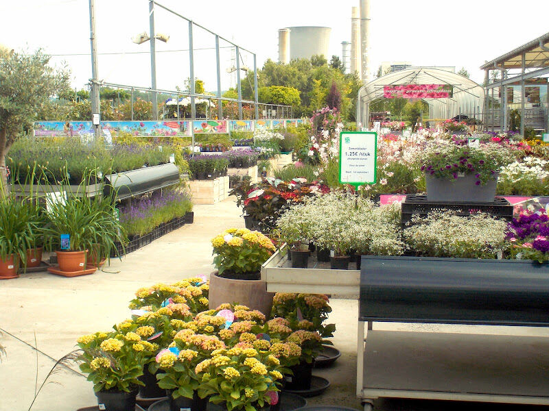 Foto van Tuincentrum De Molen bvba