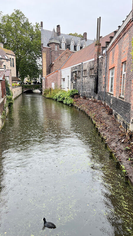 Foto van Lambrecht Annick