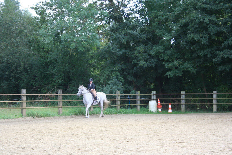 Foto van T'paardenhof