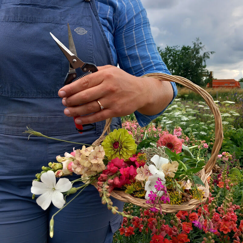 Foto van Baalse Hoef Bloemenboerderij & Pluktuin