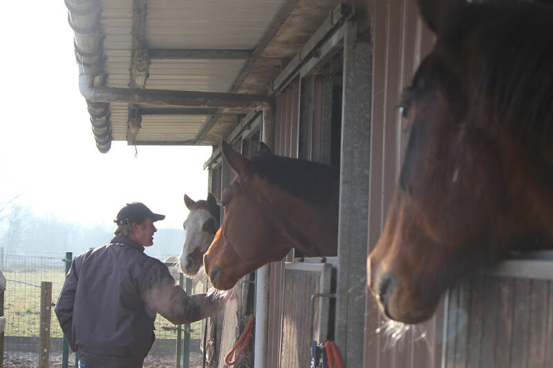 Foto van Stal Impenshof