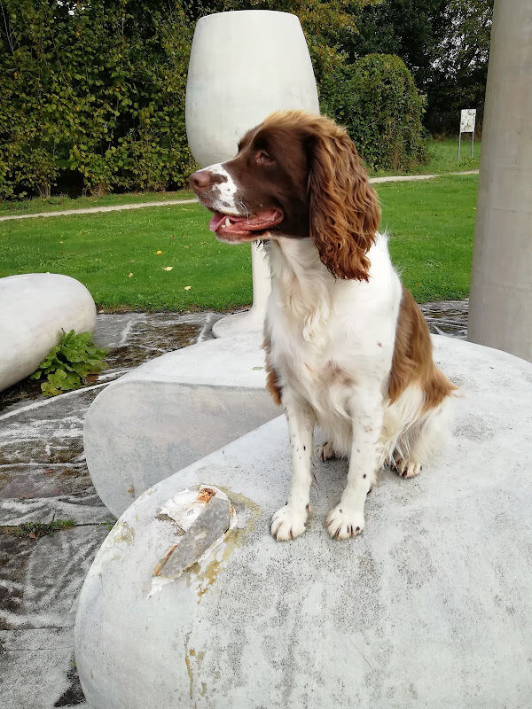 Foto van Speelveldje Bellekens