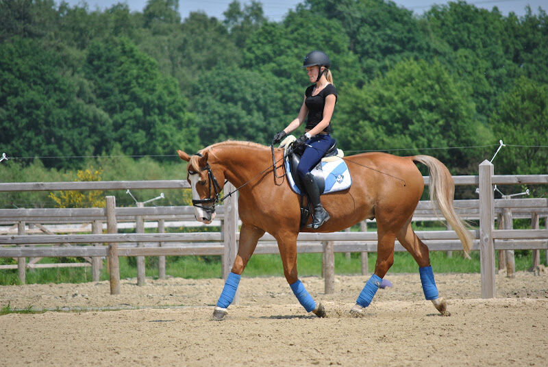 Foto van Manege Wicastables