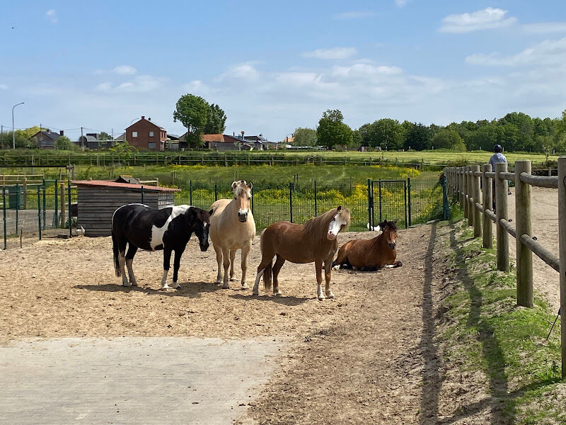 Foto van Paardenpension stal leon