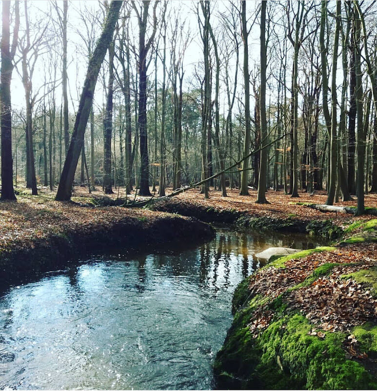 Foto van Het Luisterhuis