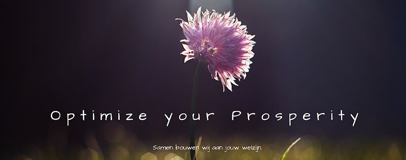 Foto van Optipro Coaching & Consulting