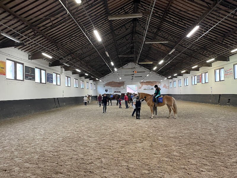 Foto van Dagen van het Paard, Equitation