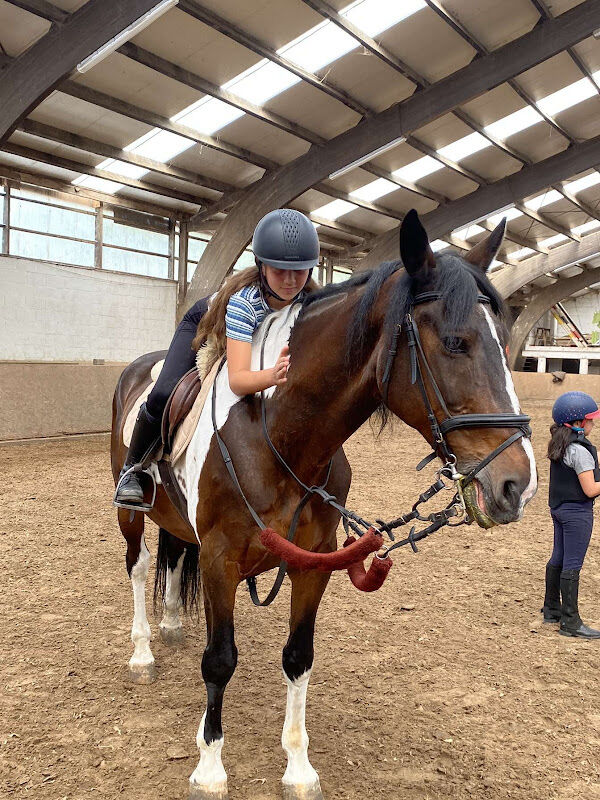 Foto van Manege Bosscherhof