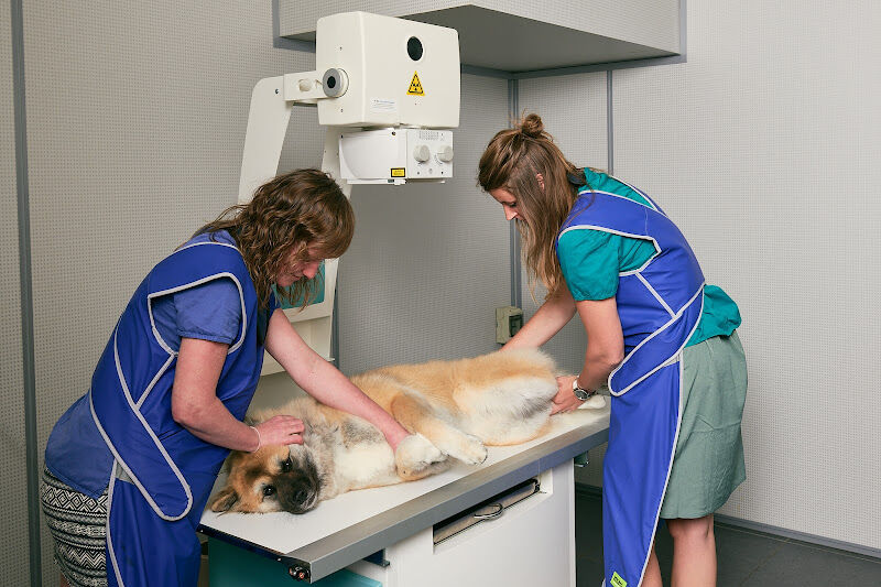 Foto van Dierenartsencentrum De Merode