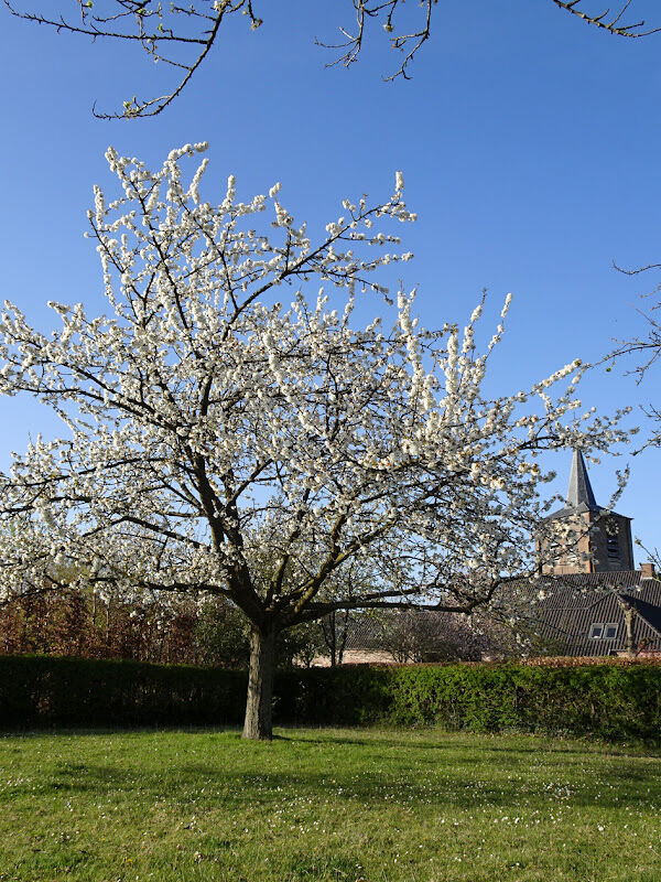 Foto van Pommegaard