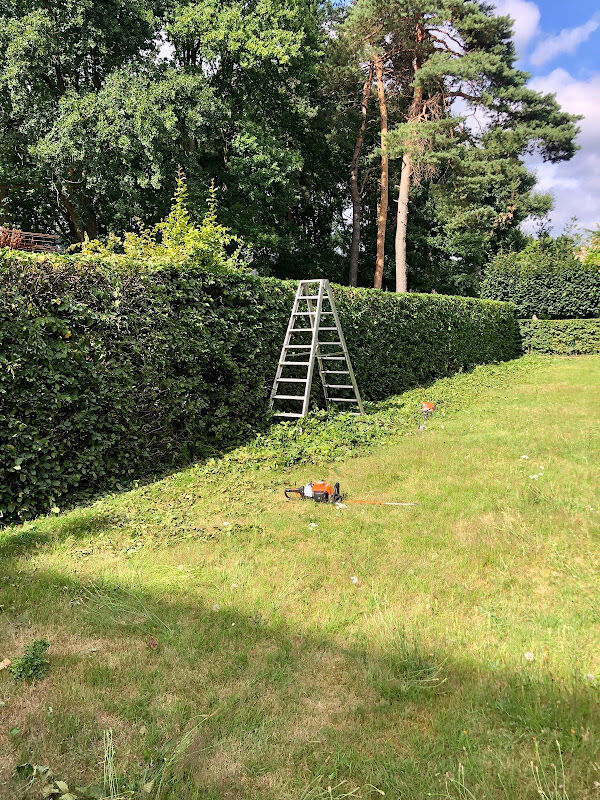 Foto van Groendecor Tuinarchitectuur