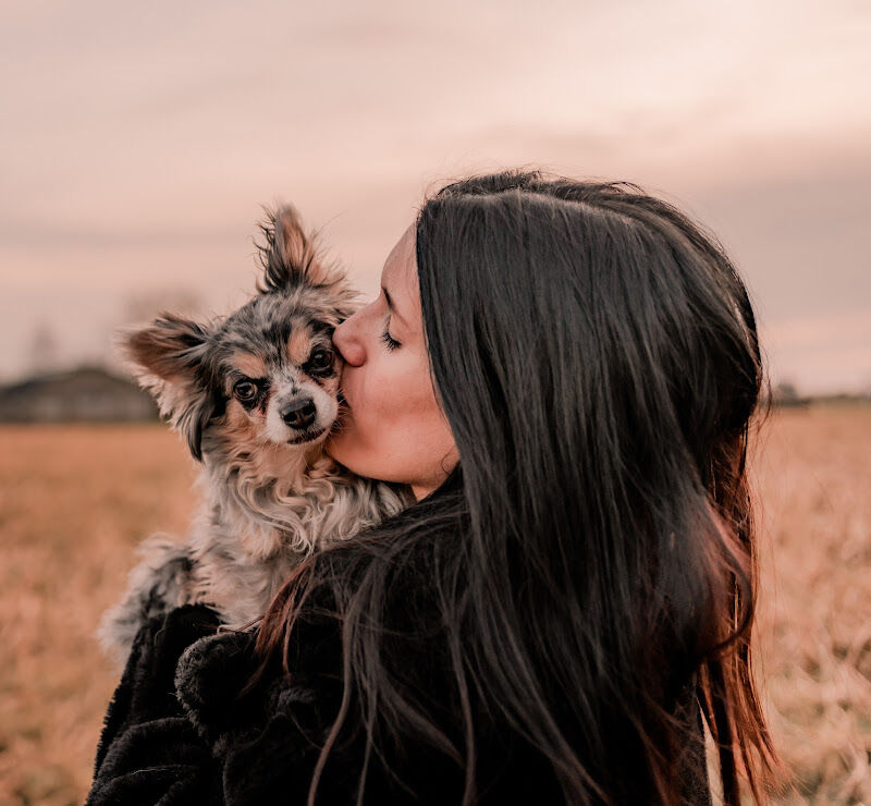 Foto van Baasje - Erkend & Huiselijk hondenpension & uitlaatservice - regio Kruisem & boetiek accessoires voor hond & kat