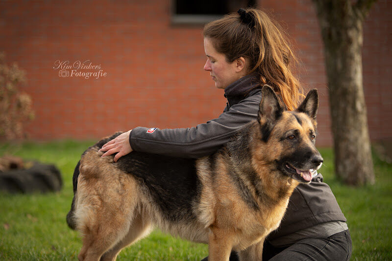 Foto van Lucia de Haan - Osteopathie en acupunctuur voor paard en hond