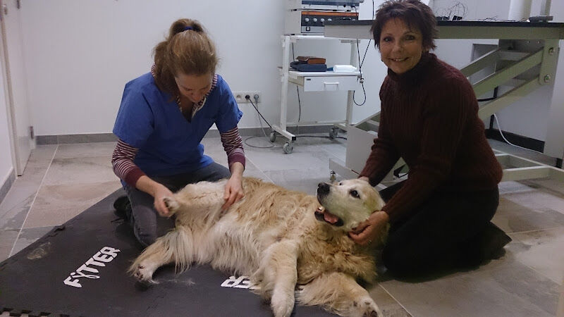 Foto van DAP Argus (Dierenarts Valérie Gielen)