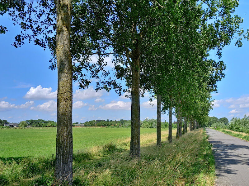 Foto van Eekse Scheldevallei