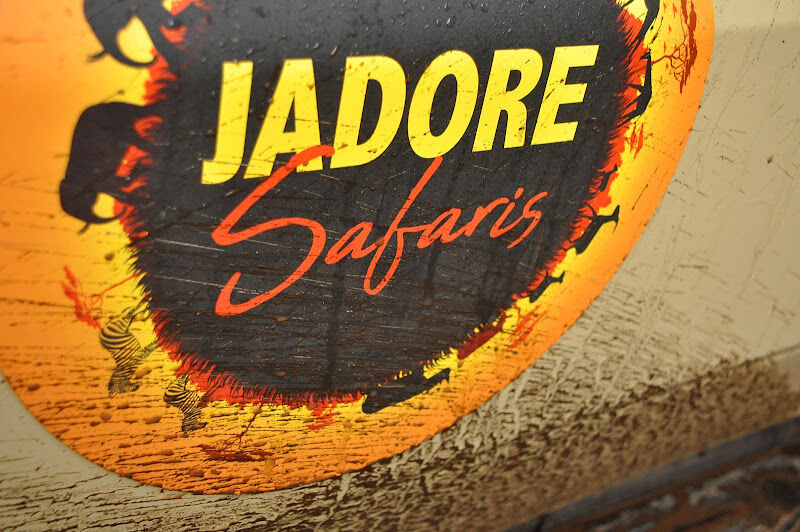 Foto van JADORE SAFARIS LTD