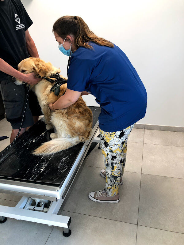 Foto van Dierenartsencentrum ZODIAC