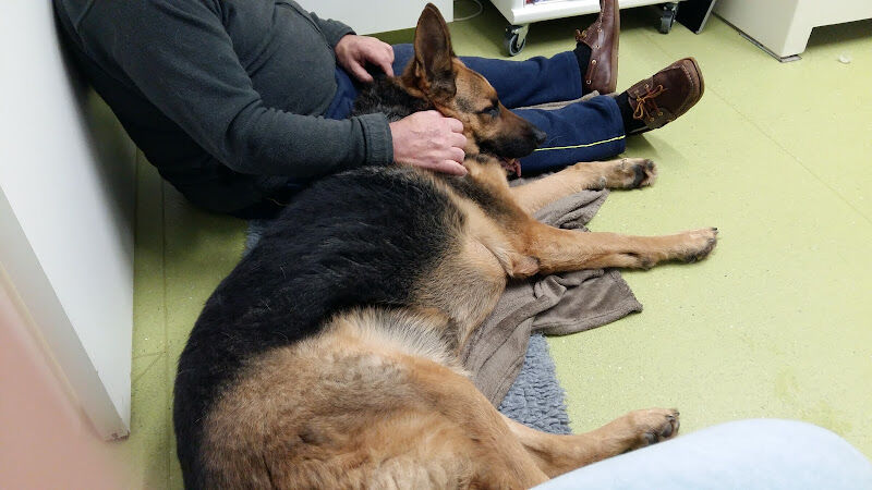 Foto van Dierenartsenpraktijk De Konijnenberg