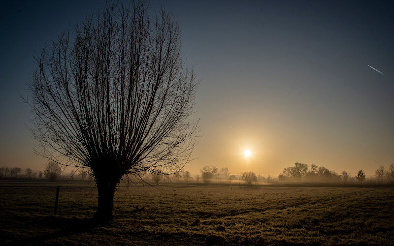 Foto van Langemeersen